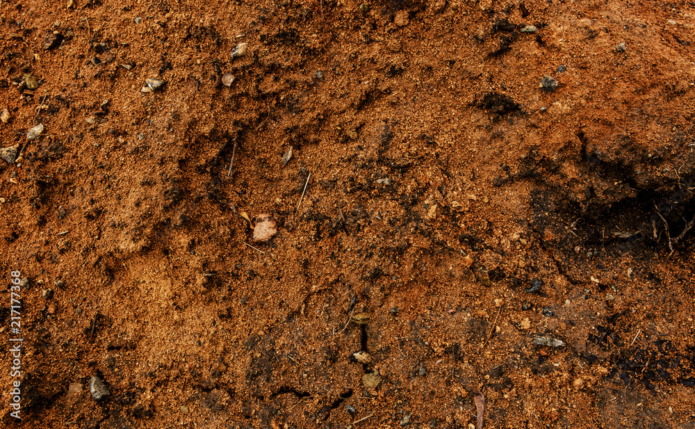 Clay soil. Yellow soil. Clay soil texture. Clay soil background. Brown ...