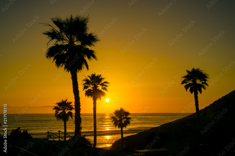 Palm trees during sunset at the beach