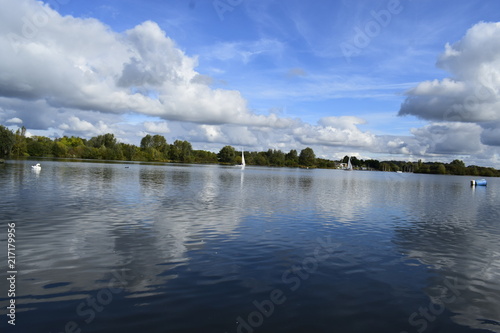 Landscape of a lake with clouds and swan © Dimitar