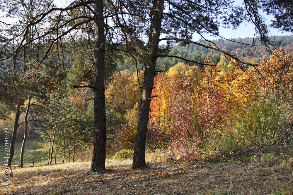 Fototapeta premium Landscape near Bojnice. Slovakia