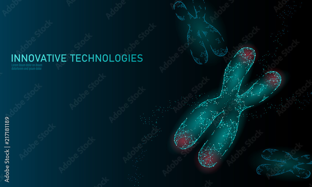 Chromosome DNA structure medicine concept. Low poly polygonal telomere genetic disease aging process. GMO engineering CRISPR Cas9 innovation modern technology science banner vector illustration Chromosome DNA structure medicine concept. Low poly polygonal telomere genetic disease aging process. GMO engineering CRISPR Cas9 innovation modern technology science banner vector illustration