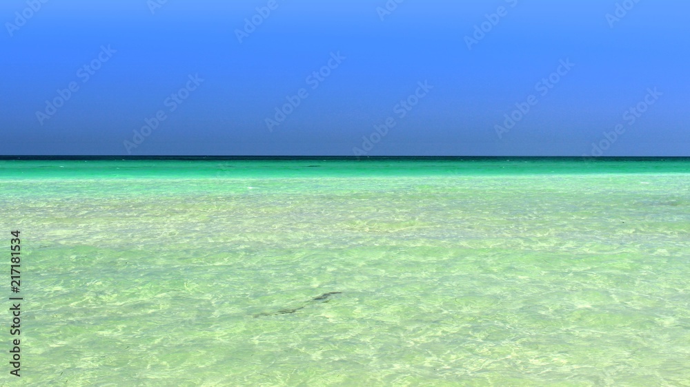 paradiesisch schöne meerlandschaft mit seichtem blauen klaren wasser