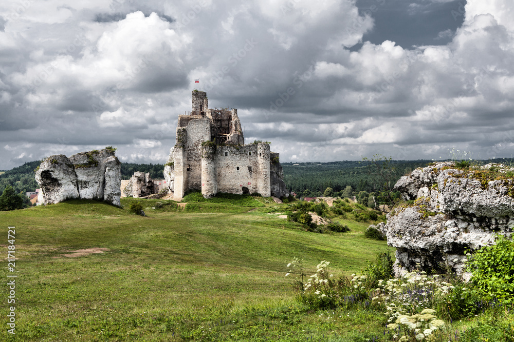 Fototapeta premium Old castle 