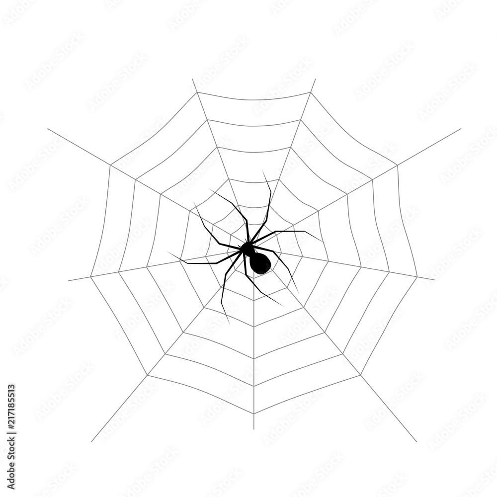 Fototapeta premium Spider web and isolated on white background. Design element for Halloween. Vector illustration.