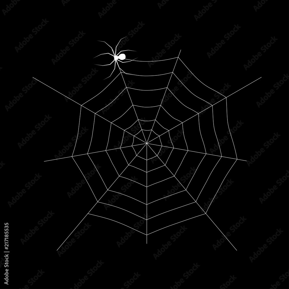 Fototapeta premium Spider web and isolated on black background. Design element for Halloween. Vector illustration.