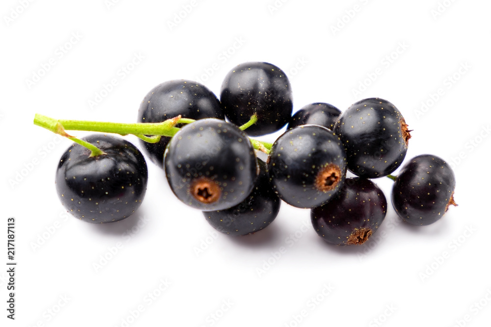 Fototapeta premium Bunch on ripe blackcurrant