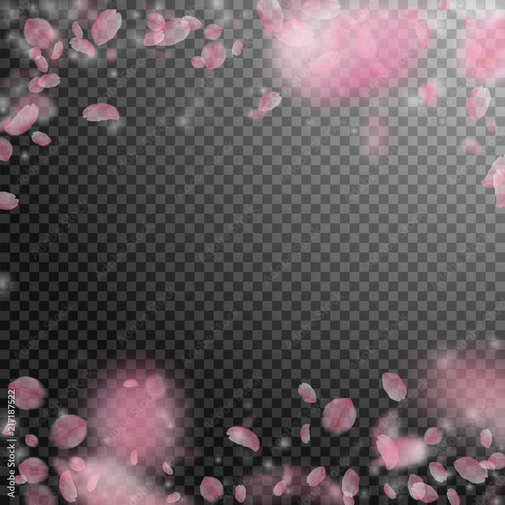 Fototapeta Sakura petals falling down. Romantic pink flowers falling rain. Flying petals on transparent square