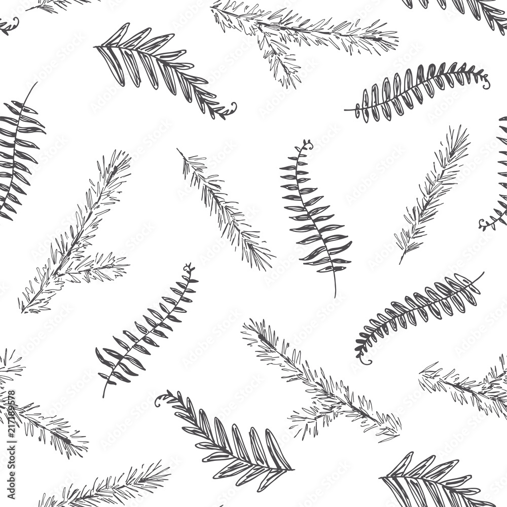 Vector seamless pattern with natural elements isolated on white. Hand drawn forest texture with pine and fern branches. Botanical details sketch.