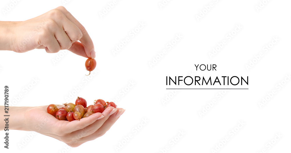 Gooseberries in hands pattern on white background isolation Gooseberries in hands pattern on white background isolation