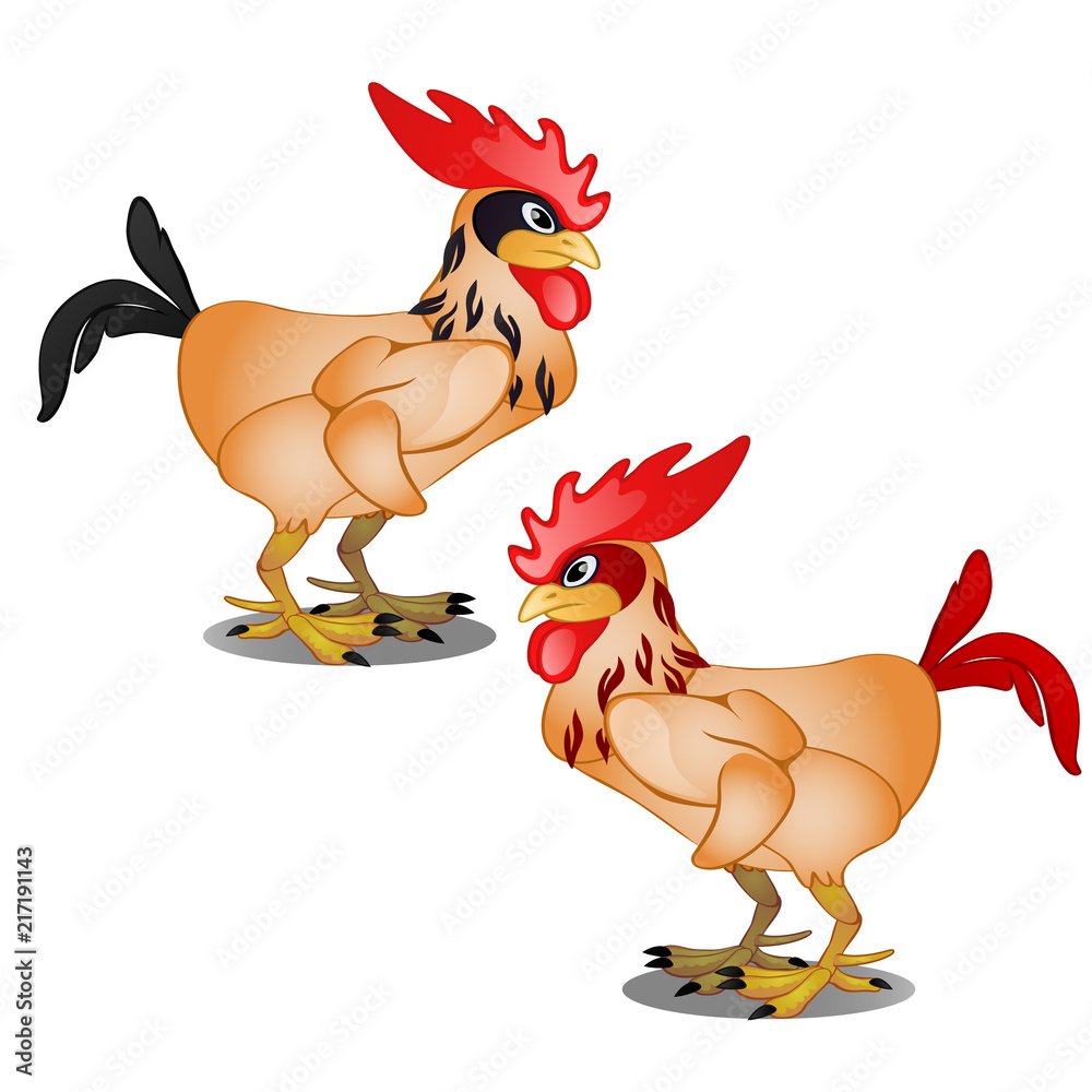 Two animated cartoon plucked rooster with black and red tail isolated on  white background. Vector illustration. Stock Vector