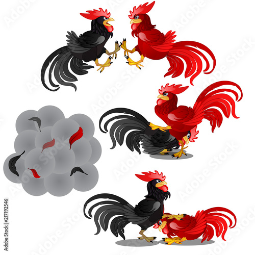 Set of epic scenes of the fight of the black and red animated cock isolated on a white background. Clouds of dust and flying feathers. Vector illustration.