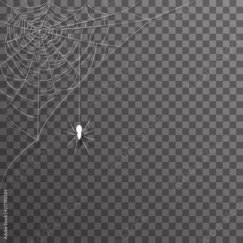 Transparent background corner decoration hanging spider web halloween vector illustration
