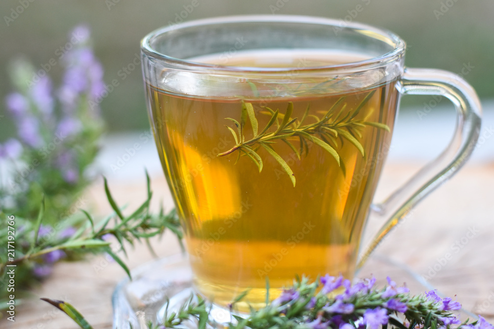 Cup of fresh natural tea on wooden table. Thymus serpyllum natural tea, Breckland Thyme with cup of tea Cup of fresh natural tea on wooden table. Thymus serpyllum natural tea, Breckland Thyme with cup of tea