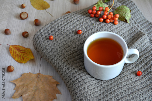 A Cup of hot tea on a wool blanket. Autumn or winter warming drink. Autumn concept