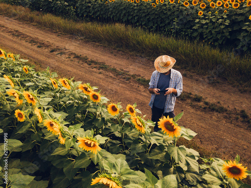 Farmer agronomist using drone to examine sunflower crop field