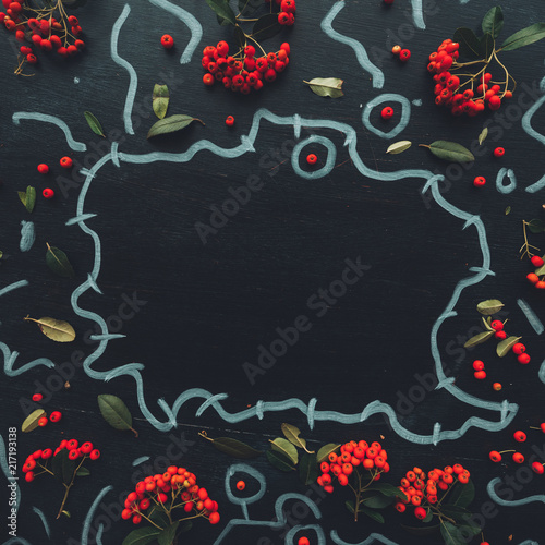 Flat lay wild red berries on dark background