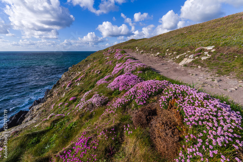 Le sentier des Douaniers