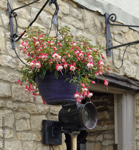 Beautiful Fuchsia hanging basket in the Cotswolds, Wiltshire, England