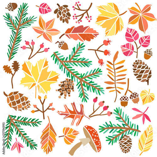 Vector autumn forest nature illustration hand drawn set