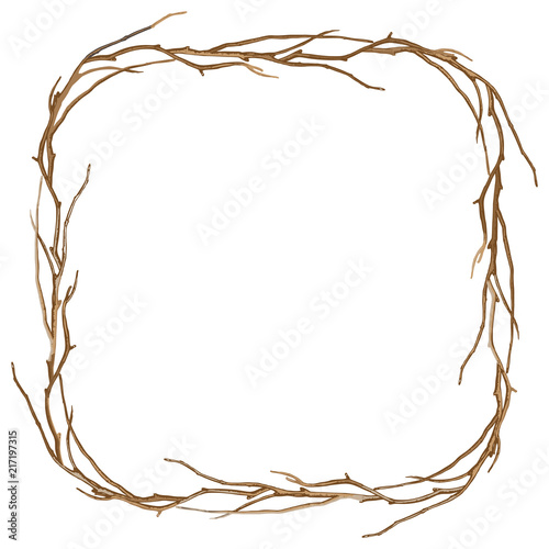 Frame of twisted branches.
