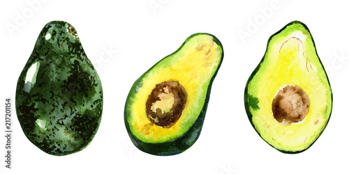 Hand drawn watercolor illustration of avocado on the white background. Useful for invitations, scrapbooking.