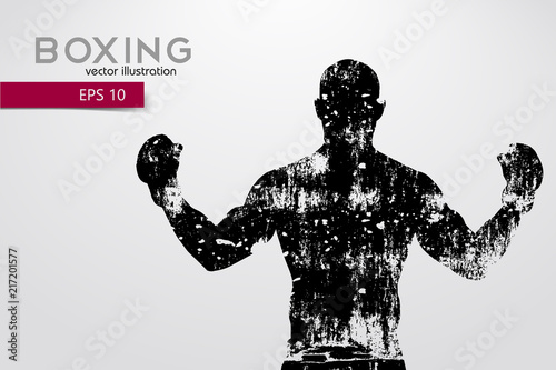Boxing silhouette. Boxing. Vector illustration