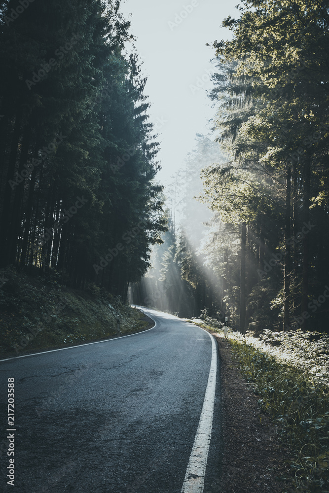 Obraz premium Sunrays in the tree with a asphalt road through the bavarian forest