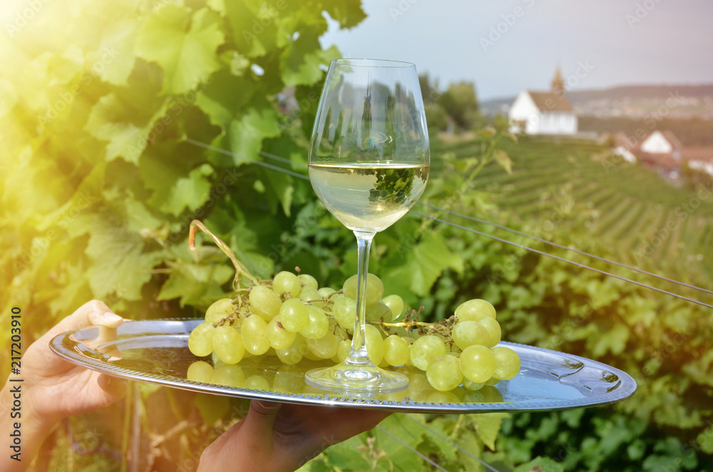 Wine and grapes against vineyards in Rheinau, Switzerland Wine and grapes against vineyards in Rheinau, Switzerland
