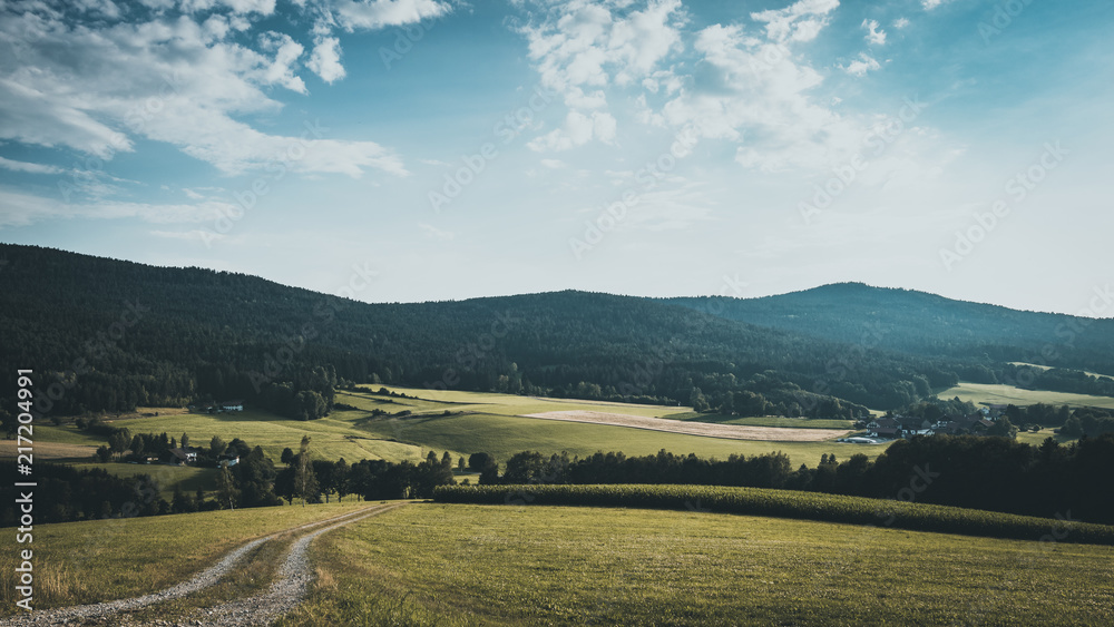 Field with a Path and Mountains with Trees in the background and Clouds on the sunny sky in the bavarian forest