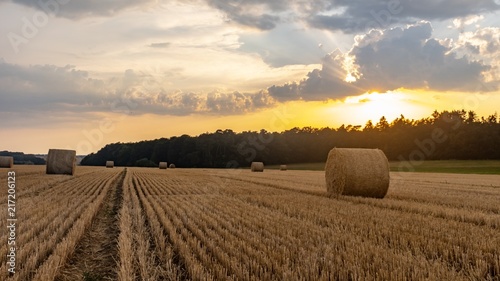 landscape scenery hay bales