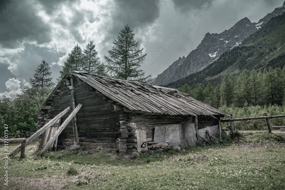 Cabin in alps forest mountain