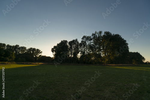 Baumgruppe im Gegenlicht im Sonnenuntergang bei ruhiger Idylle
