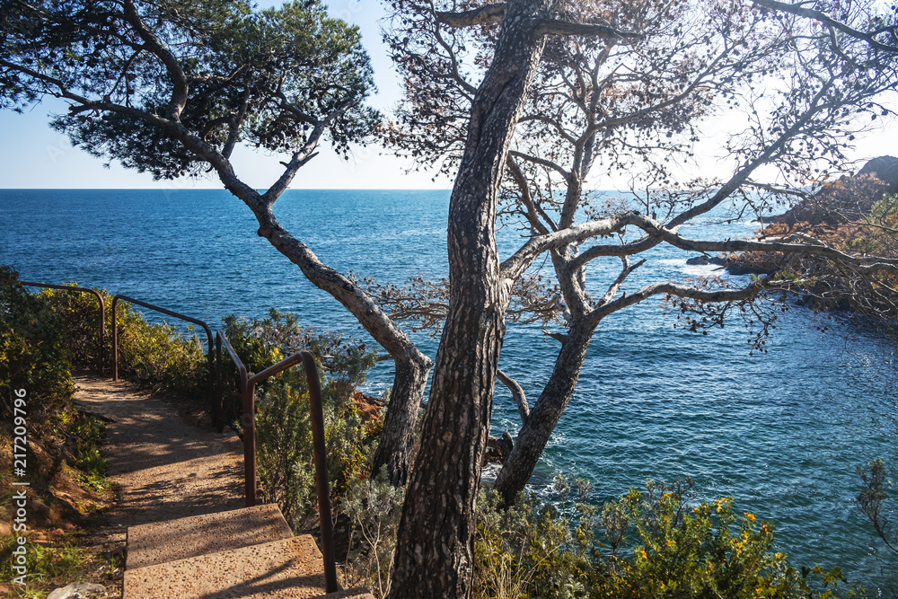 Fototapeta premium Badebucht an der corniche d'or in Südfrankreich