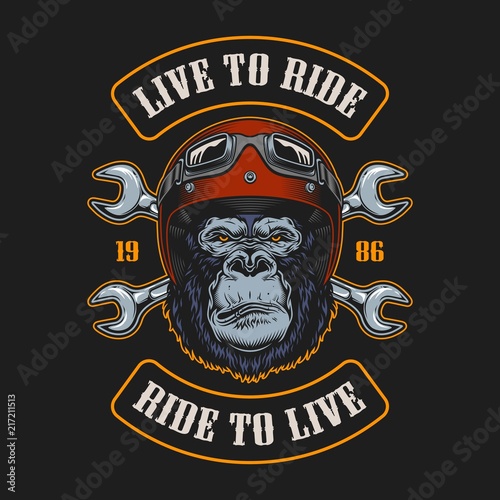 Vintage biker emblem