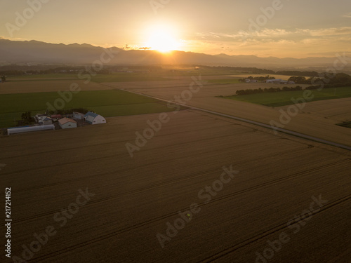 小麦畑と夕日 © makieni