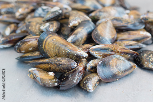 Fototapeta Naklejka Na Ścianę i Meble -  fresh raw mussels close up on gray background. Agde local market, France.