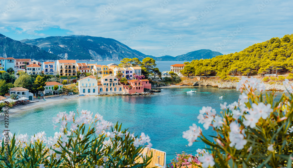 Panoramic view to Assos village in Kefalonia, Greece. Bright white blossom flower in foreground of turquoise colored calm bay of Mediterranean sea and beautiful colorful houses in background - obrazy, fototapety, plakaty 