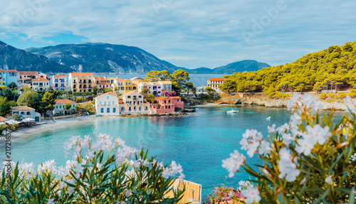 Panoramic view to Assos village in Kefalonia, Greece. Bright white blossom flower in foreground of turquoise colored calm bay of Mediterranean sea and beautiful colorful houses in background