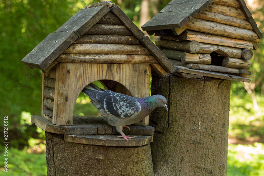 Naklejka premium wooden house