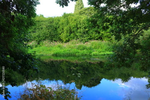 Water in nature
