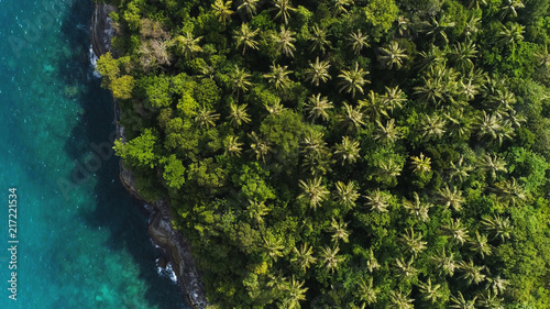 Overhead drone shot of tops of palm trees and turquoise sea water in Ko Pu island in Phuket, Thailand. Abstract texture, place for text