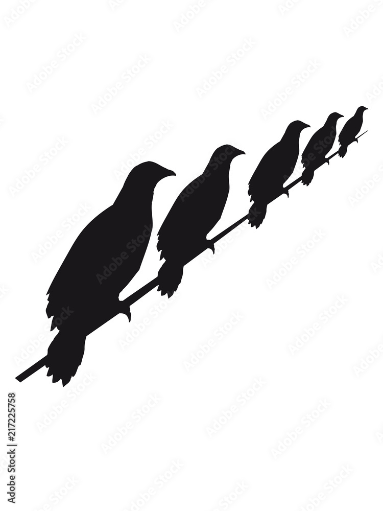 Fototapeta premium viele strom rabe leitung 5 freunde team crew seil sitzend silhouette schwarz umriss schatten adler falke taube vogel fliegen clipart