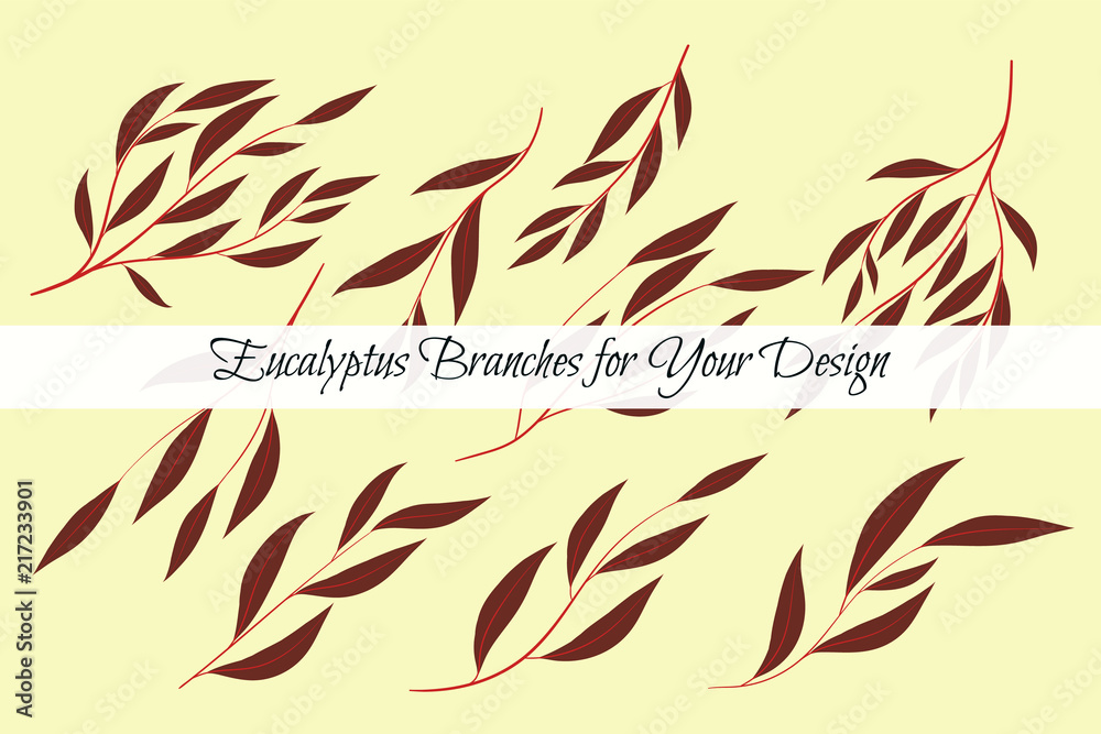 Fototapeta premium Eucalyptus Vector. Decorative Vector Leaves and Branches. Elegant Foliage. Beautiful Floral Element for Wedding Design. Tropical Plants. Flowers Isolated and Eucalyptus Vector for Card, Invitation.