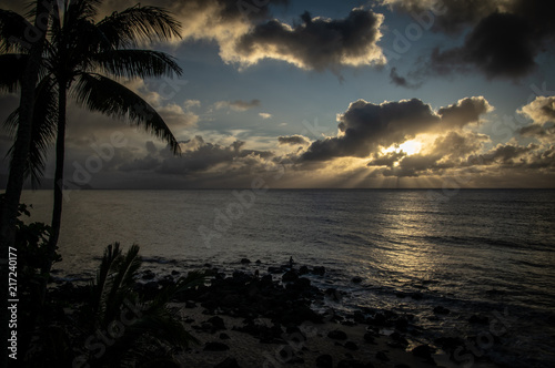 Hawaii Seashore Sunset