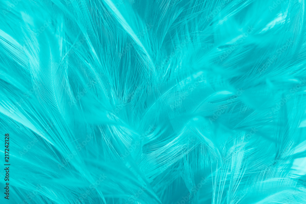 feather color turquoise emerald green background 