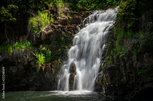 Fototapeta Naklejka Na Ścianę i Meble -  Waimea Falls in Waimea Valley in Hawaii