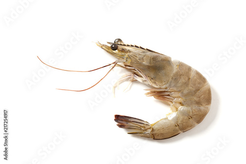 Raw fresh tiger shrimp on white