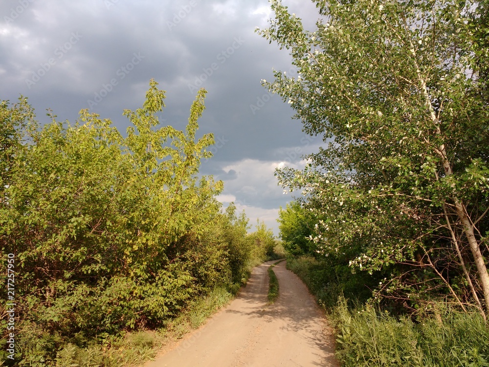 Steppe Steppe