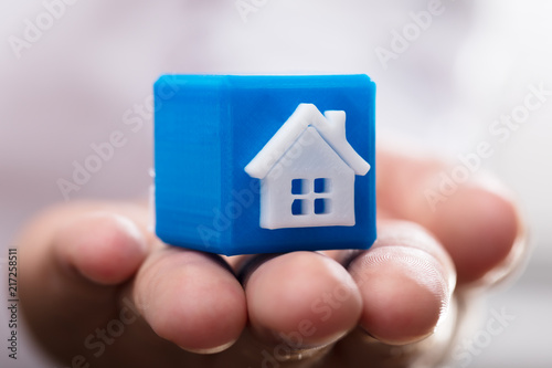 Person holding cubic block with house model