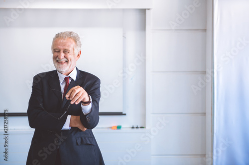 Senior business man portrait.